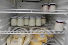 DSCN5892